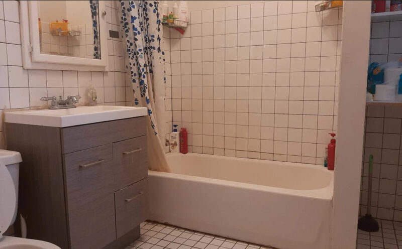 Furnished 5BR / 2BA Apartment in Hyde Park