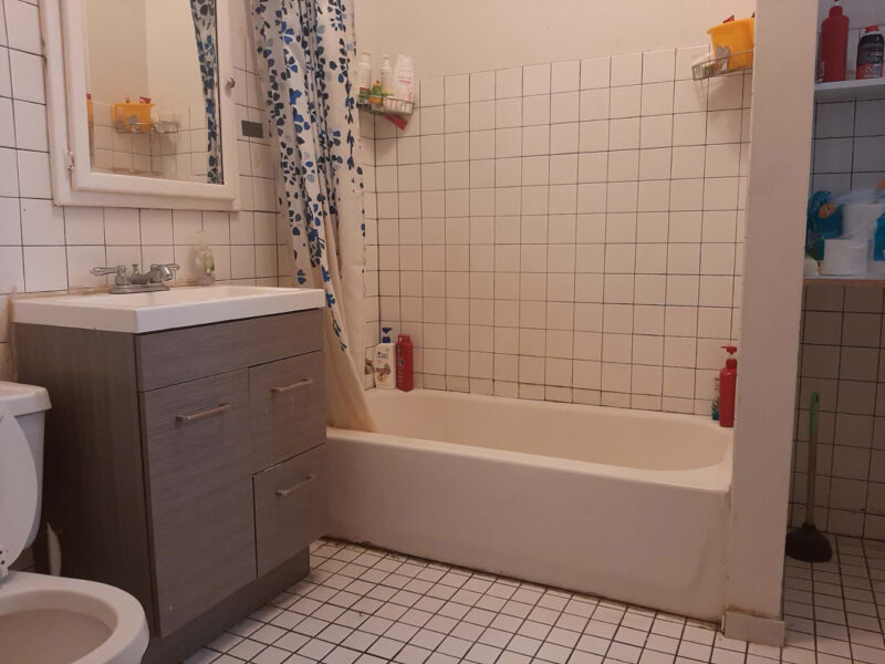 Furnished 4BR/2BA Hyde Park Apartment