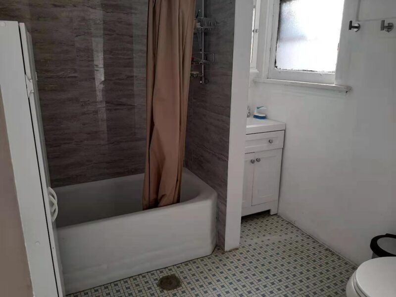 Furnished 4BR/2BA Hyde Park Apartment