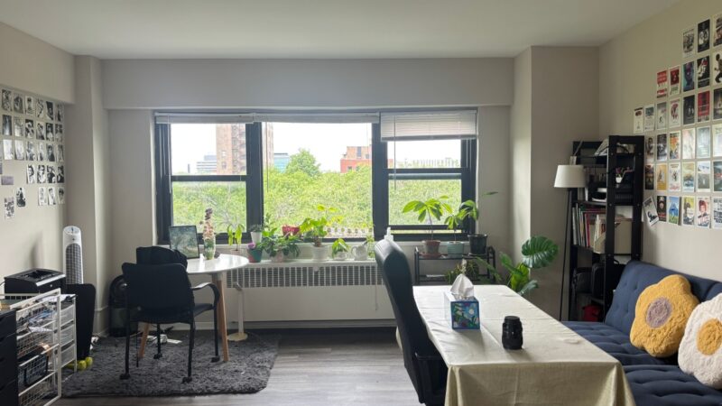 Sunny 1B1B Near UChicago + 24/7 Gym + Corner Views 🌿