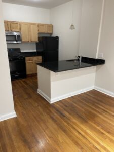 Large Spacious and Bright Hyde Park Apt. Minutes From Campus