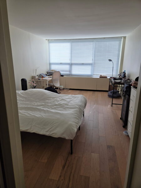🌟Bright 2BR/2BA Lake View Unit | Near UChicago